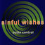 Cover Sinful Wishes