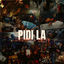 Cover Pidi la
