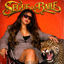 Cover Segue O Baile