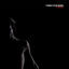 Cover Primate