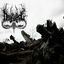 Cover Dead Trees