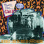Cover That'll Flat Git It, Vol. 13 (Abc)