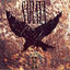 Cover When the Blackbird Sings