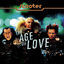 Cover The Age Of Love