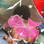 Cover Unidos