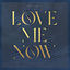 Cover Love Me Now (feat. FAST BOY) (Acoustic)