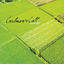 Cover 40 Acres