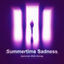 Cover Summertime Sadness (Techno Version)