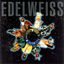 Cover Wonderful World of Edelweiss