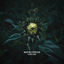 Cover Auralume