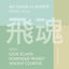Cover Flying Soul