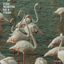Cover Imagination