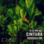 Cover Cintura ( Voodoochild Rmx )