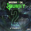 Cover 2 Bunny 2