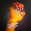 Cover RAWR