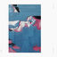 Cover Phases EP