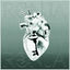 Cover Eine Familie