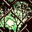 Cover wutiwant
