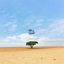 Cover Tree Of Tenere