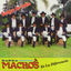 Cover Sangre de indio