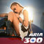 Cover 300