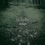 Cover This Is Survival
