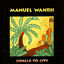 Cover Jungle To City