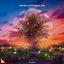 Cover Firefly