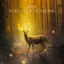Cover Forest Of Seasons
