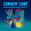 Cover Caminem Lluny