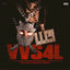 Cover VVS4L