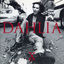 Cover DAHLIA