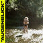 Cover Augenblick