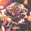 Cover Made For Love