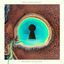 Cover Dreaming in Dystopia
