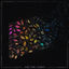 Cover Ask The Ashes