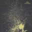Cover Blistering Wrath