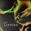 Cover L'official