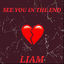 Cover See You in the End