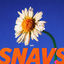 Cover Daisy