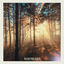 Cover Viljan / Ornament