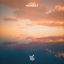 Cover Honest