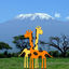Cover Kilimanjaro Ninjas