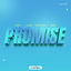 Cover Promise