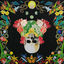 Cover Helichrysum