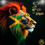 Cover Now Or Never