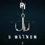 Cover U mutnom