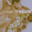Cover Spa Sounds for Meditation