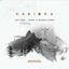 Cover Carioca (Remixes)