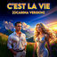 Cover C'est La Vie (Ocarina Version)